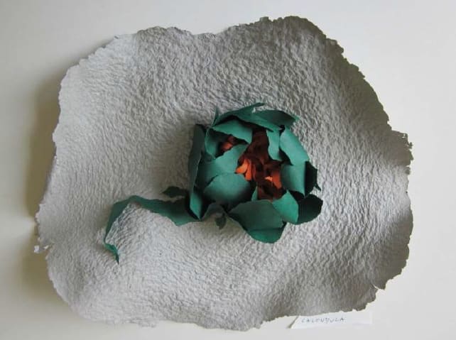 Lili DUJOURIE, Ballade - Calendula, 2011