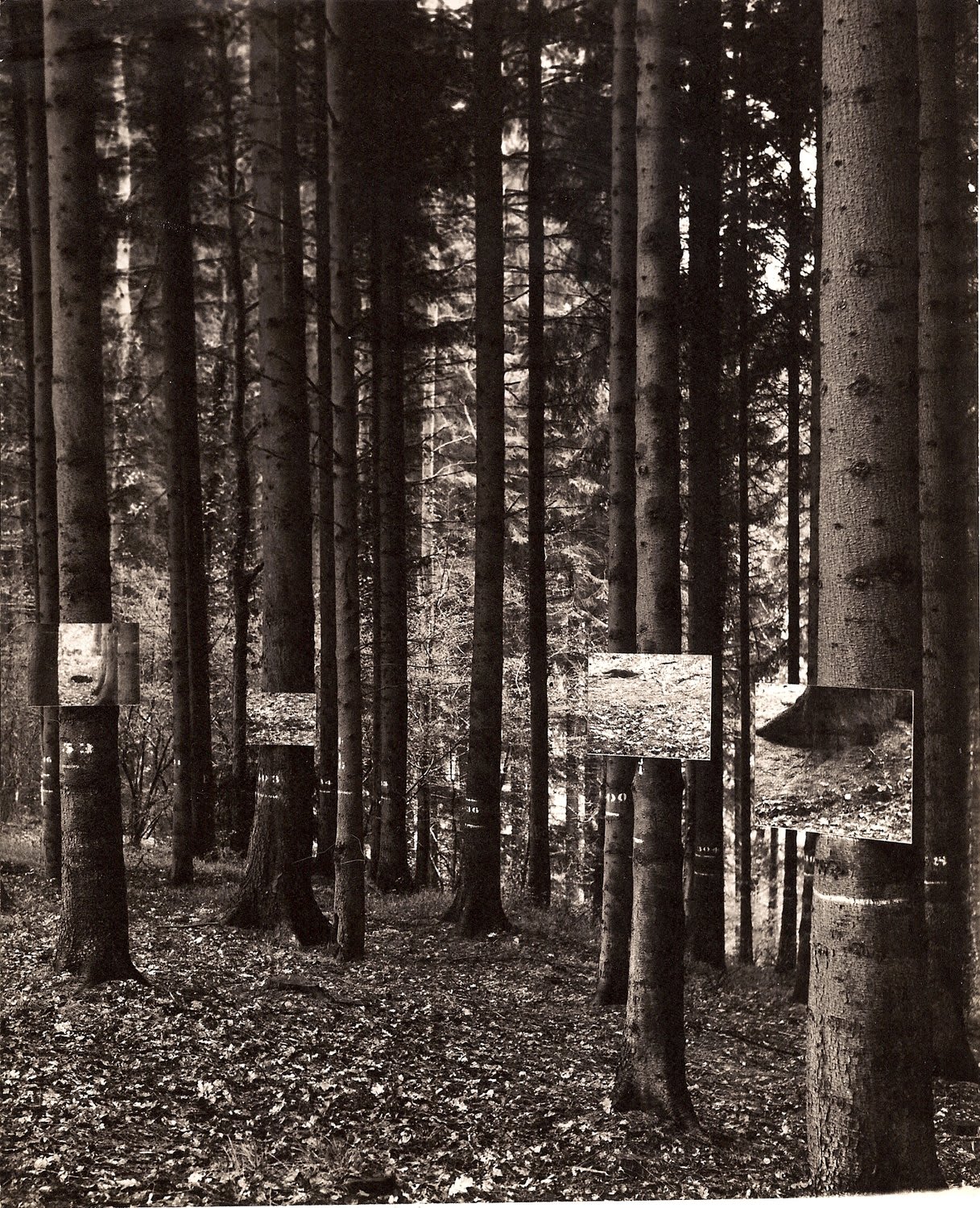 Keith ARNATT, Untitled, c 1968