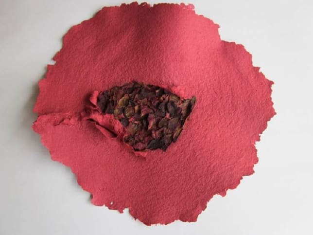 Lili DUJOURIE, Ballade - Rosa Canina, 2011