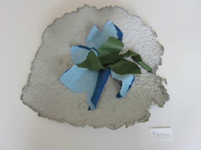 Lili DUJOURIE, Ballade - Hepatica, 2011
