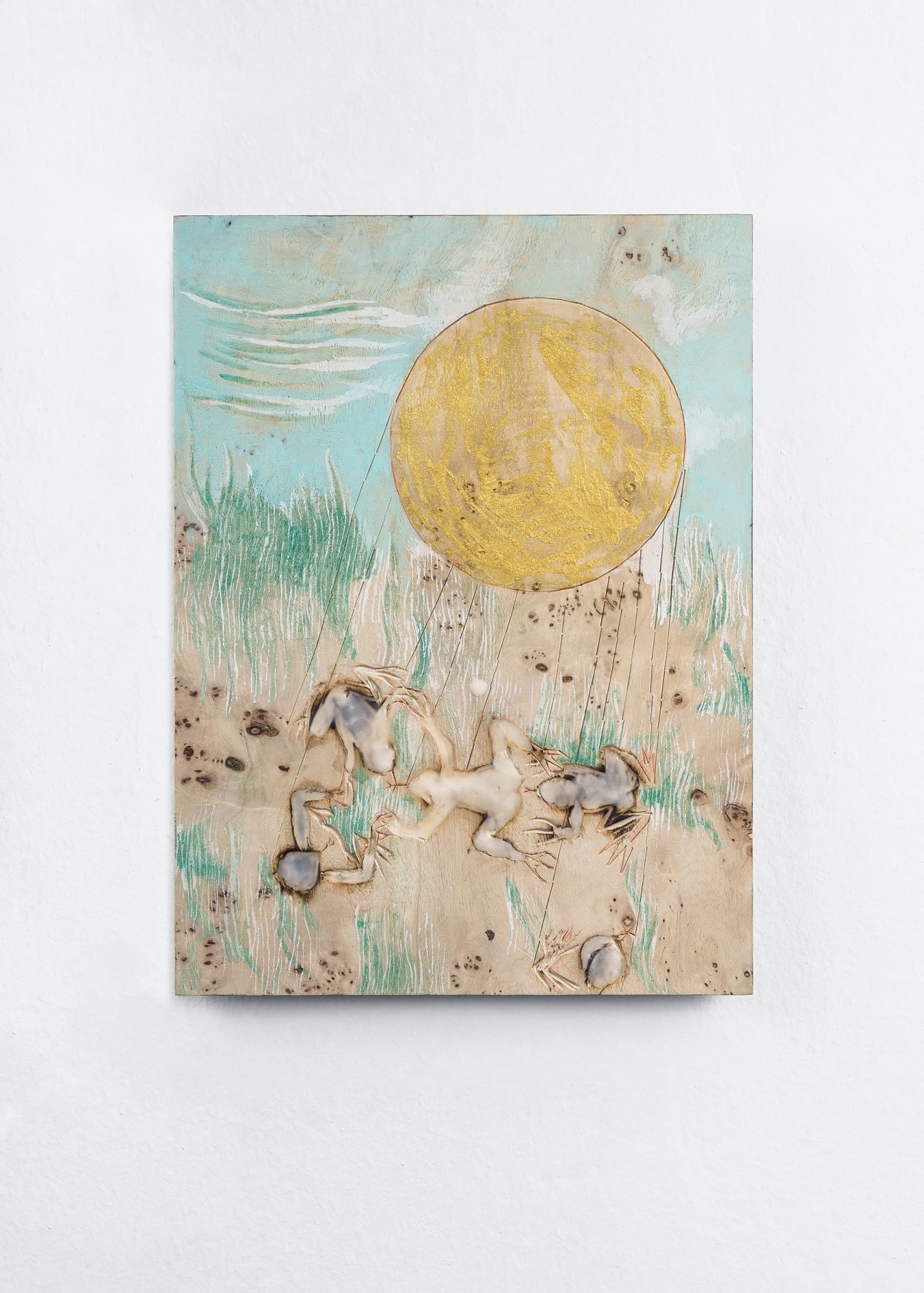 Gaia FUGAZZA, These Frogs, 2019