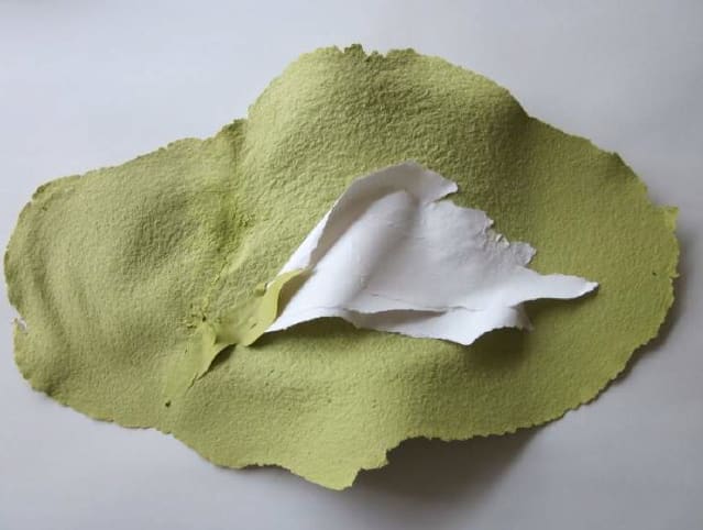 Lili DUJOURIE, Ballade - Helleborus Niger, 2011