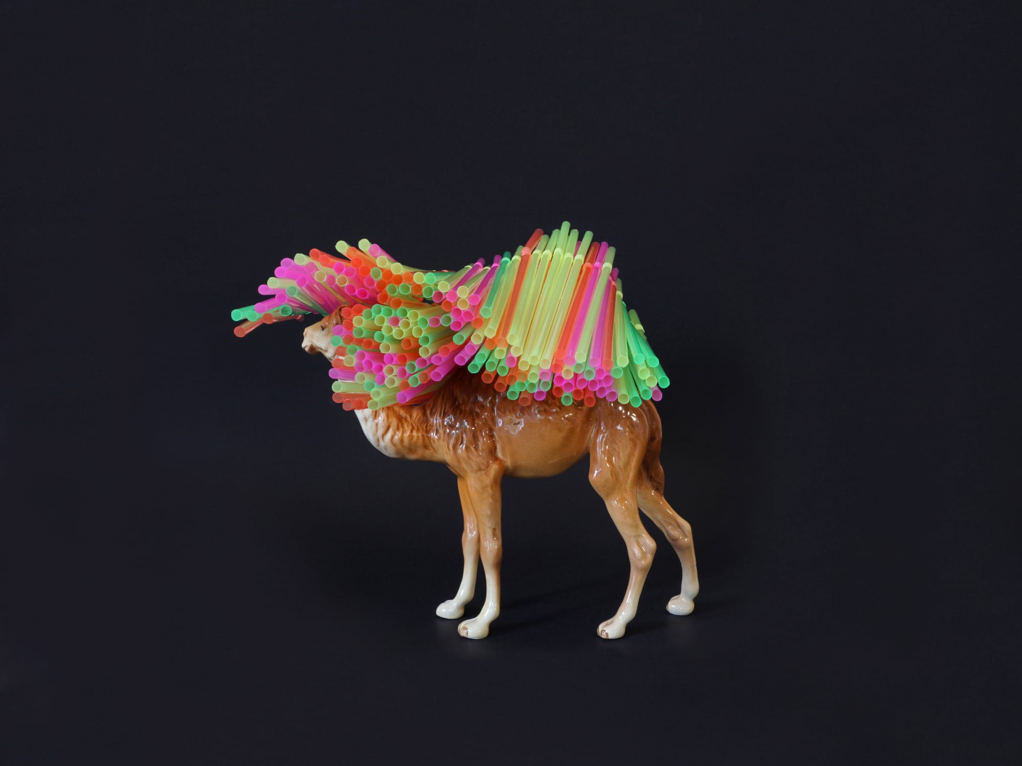 Karen DENSHAM, Last Straw, 2015