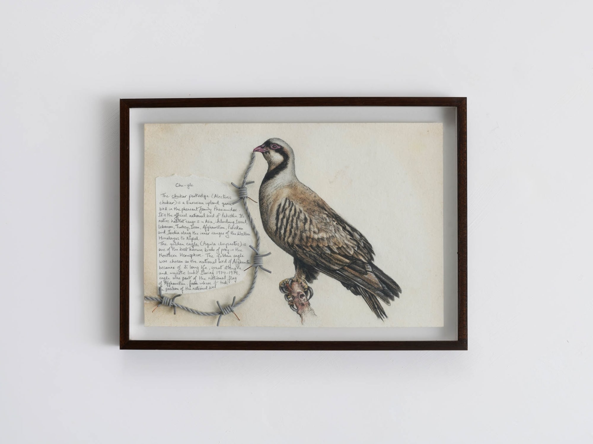 Reena Saini KALLAT, Hyphenated Lives (Chu-gle), 2018