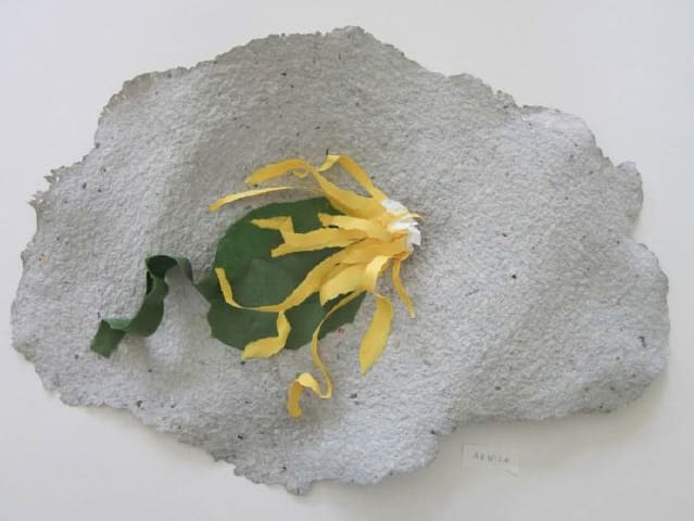 Lili DUJOURIE, Ballade - Arnica, 2011