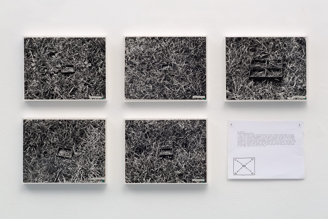 Ed HERRING, Grass Re-organisation, 1969