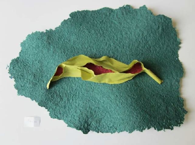 Lili DUJOURIE, Ballade - Arum, 2011