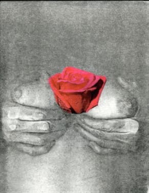 Penny SLINGER, Heart Opening, 1976