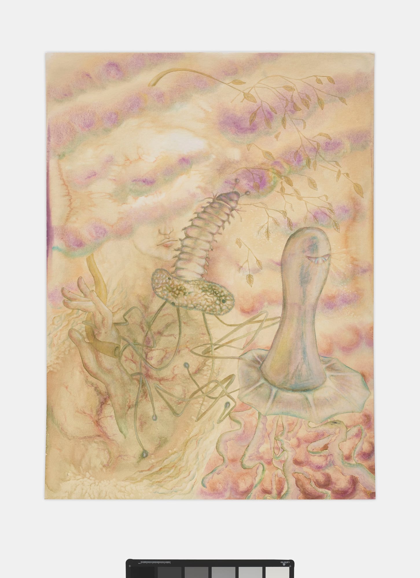 Qian Qian, The garden, 2023