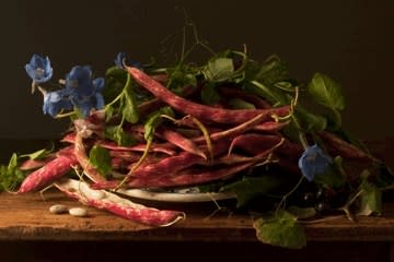 Paulette Tavormina, Cranberry Beans, after G.G., 2009