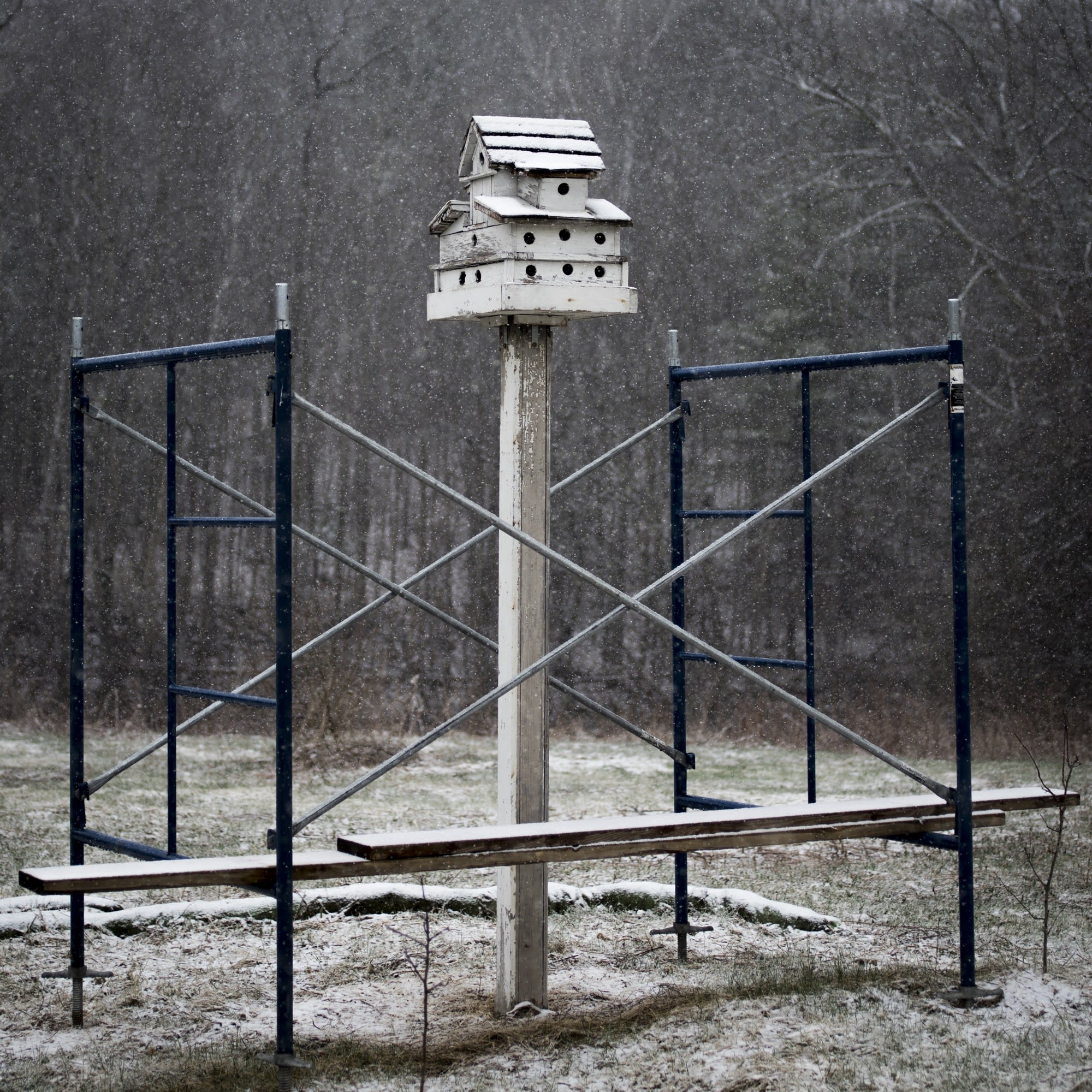 Cig Harvey, Birdhouse, 2016