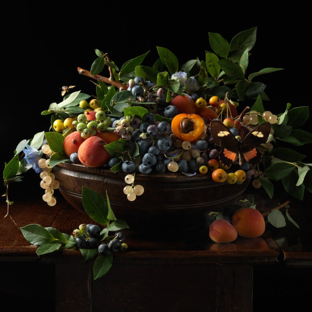 Paulette Tavormina, Blueberries and Apricots, 2013