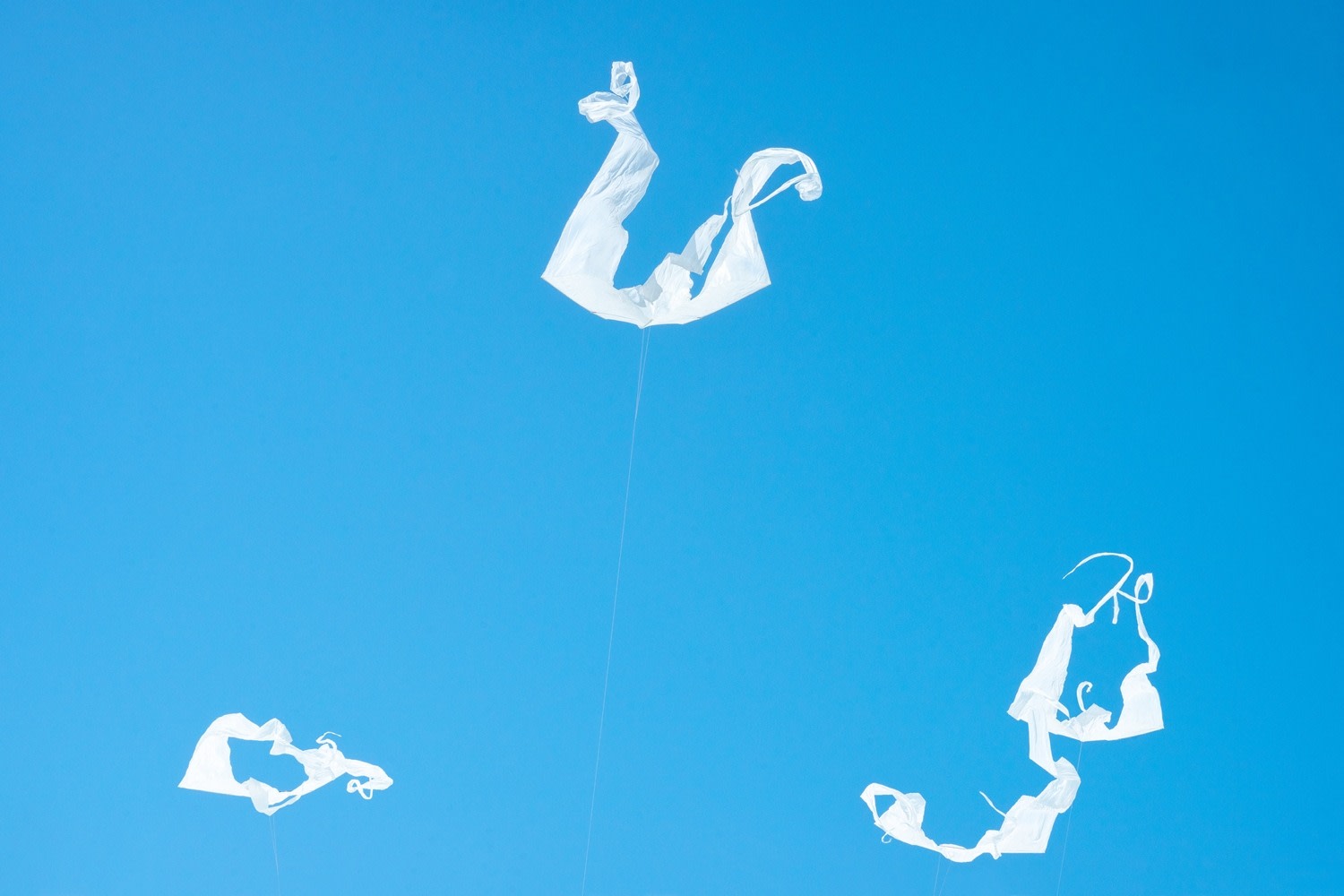 Sally Gall, Trinity, 2017