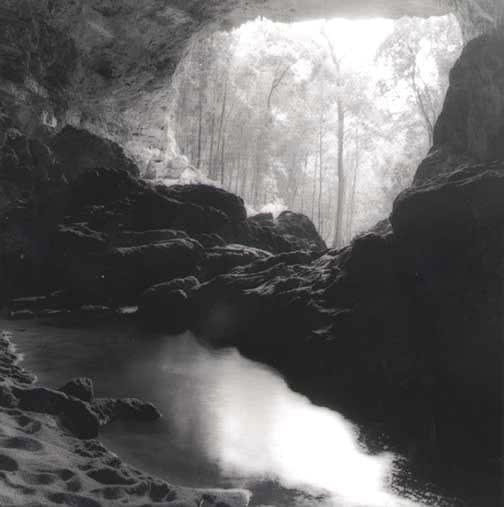 Sally Gall, Oasis, 1999