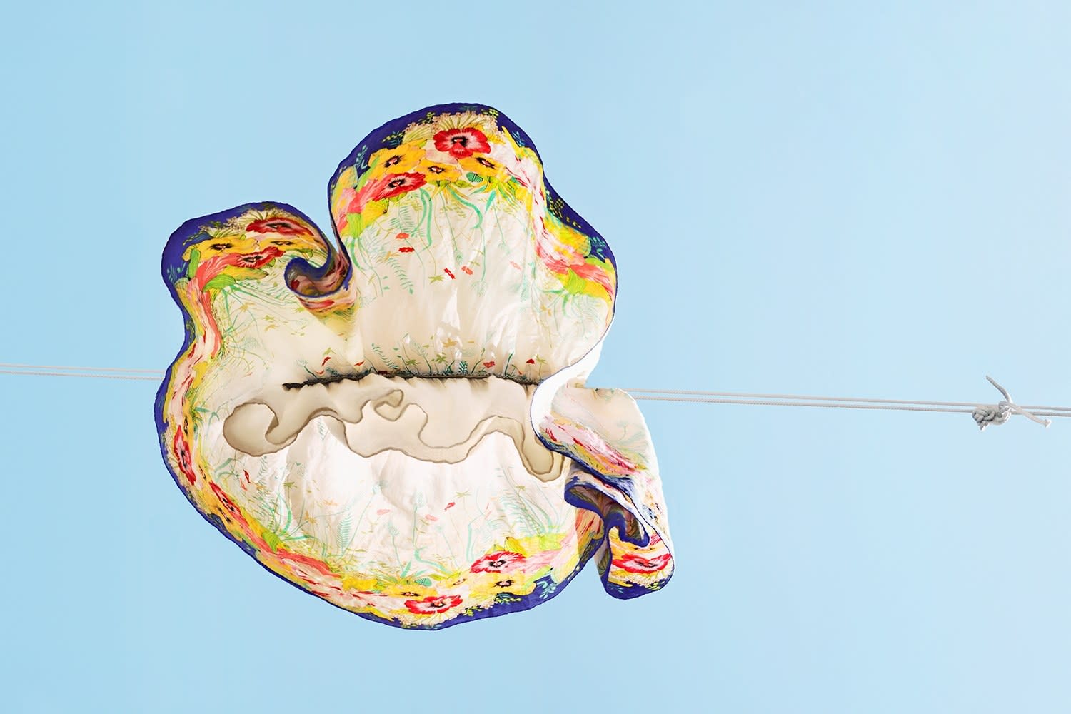 Sally Gall, Efflorescence, 2015