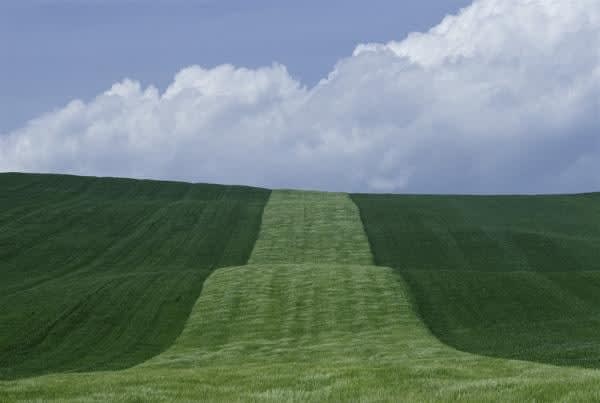 Franco Fontana, Basilicata, 1985