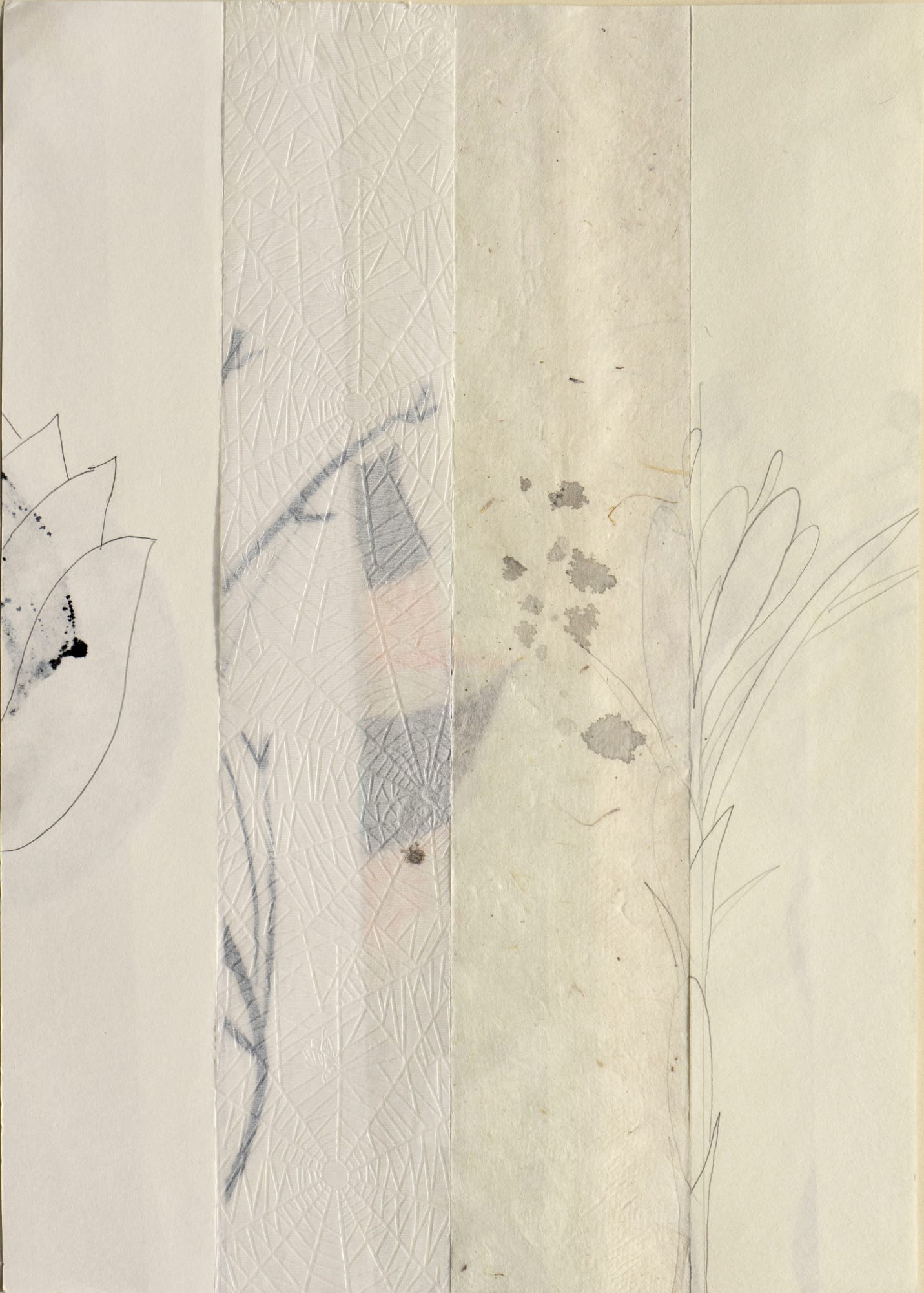 Mireille Gros, Season: Fictional Plant 22, 2020