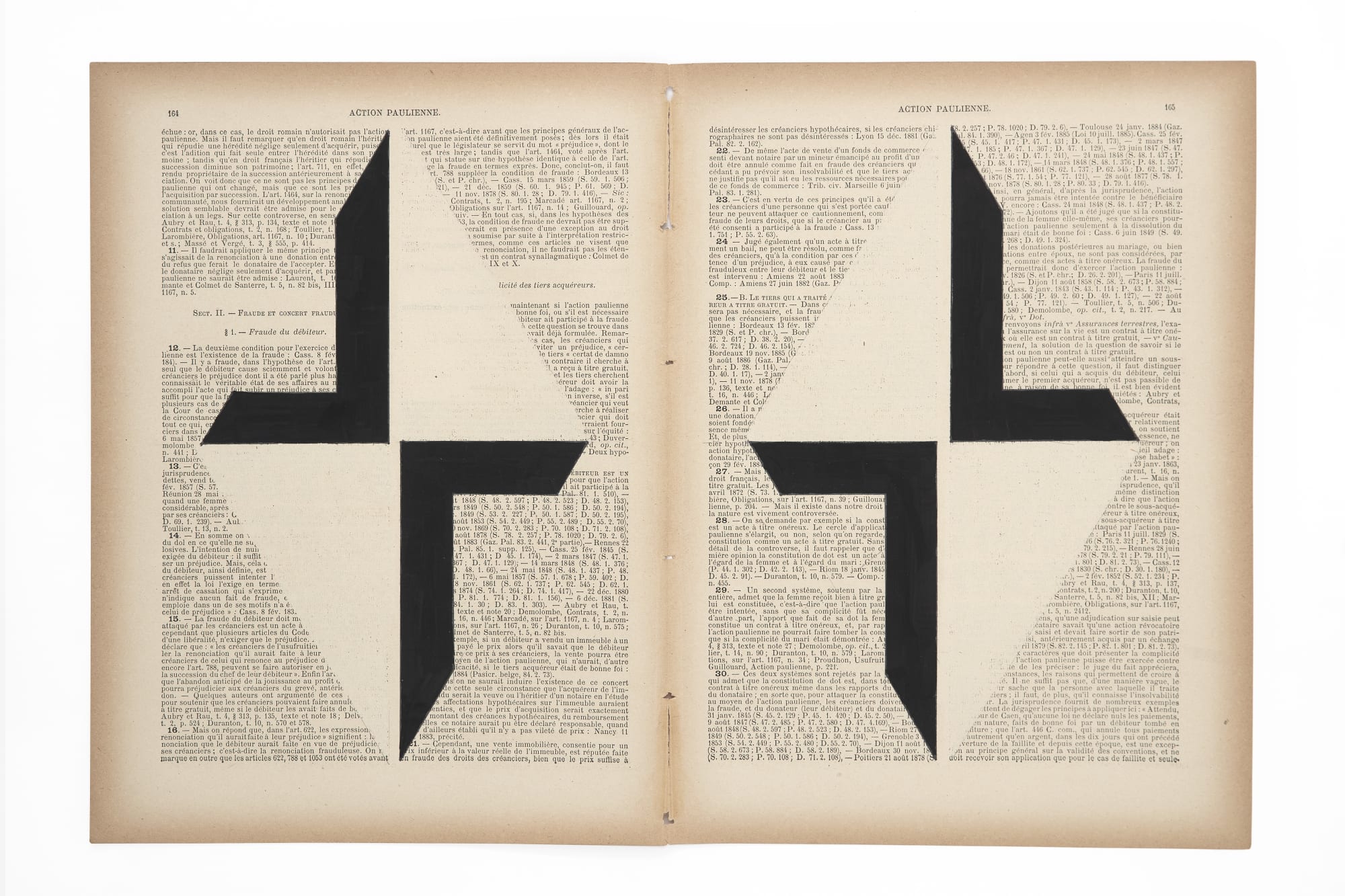 Marinda Vandenheede, Pars Pro Toto - Action II, 2021