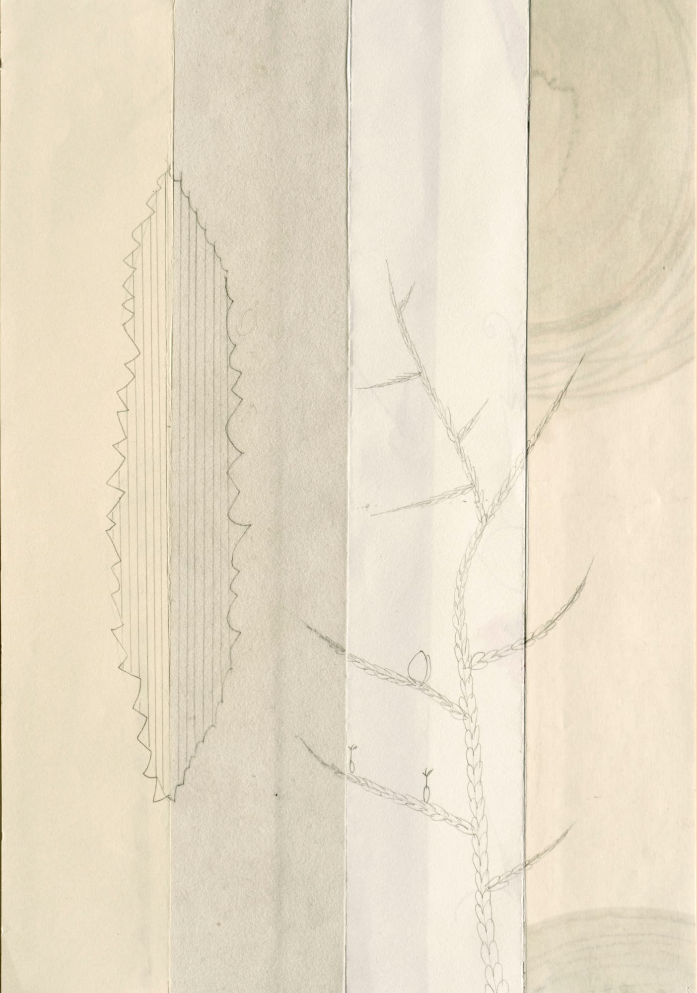 Mireille Gros, Season: Fictional Plant 18, 2020