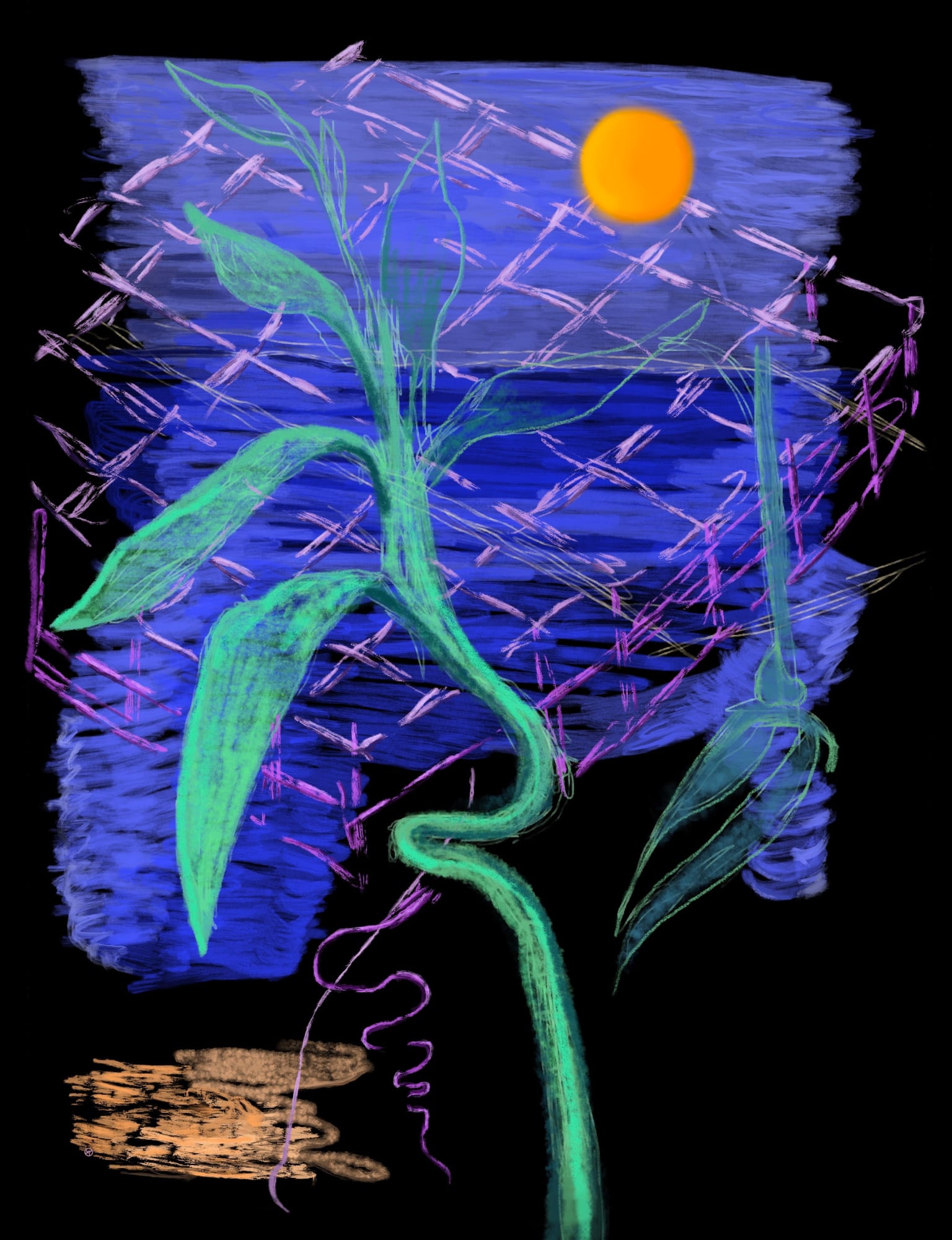 Aylar Dastgiri, Move Your Eyes, You Are Not Fixed, 2018