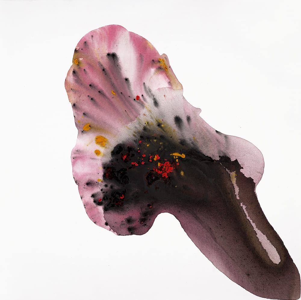 Clara Berta, Violet Sunday, 2017