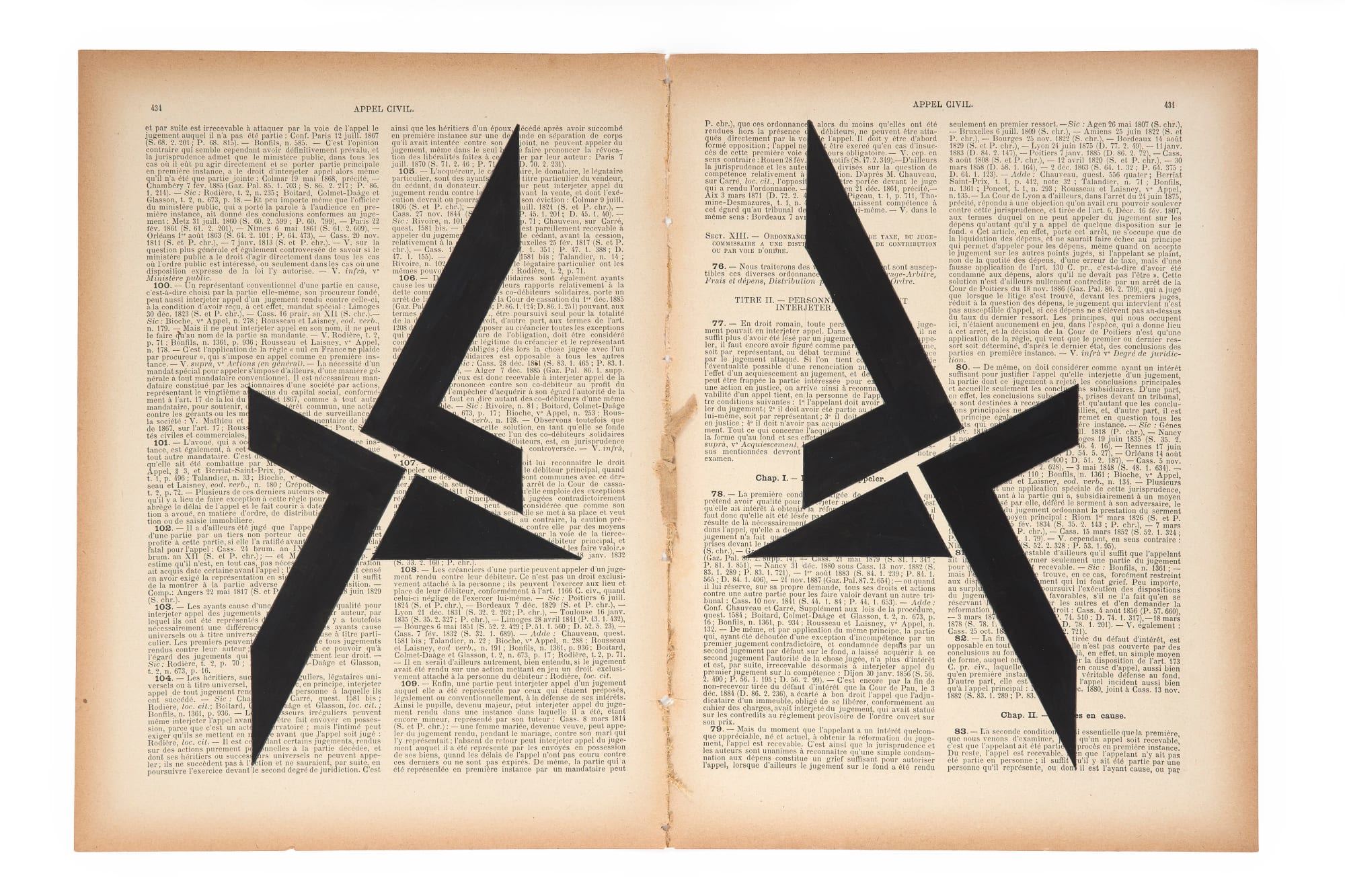 Marinda Vandenheede, Pars Pro Toto - Civil Appeal V, 2021