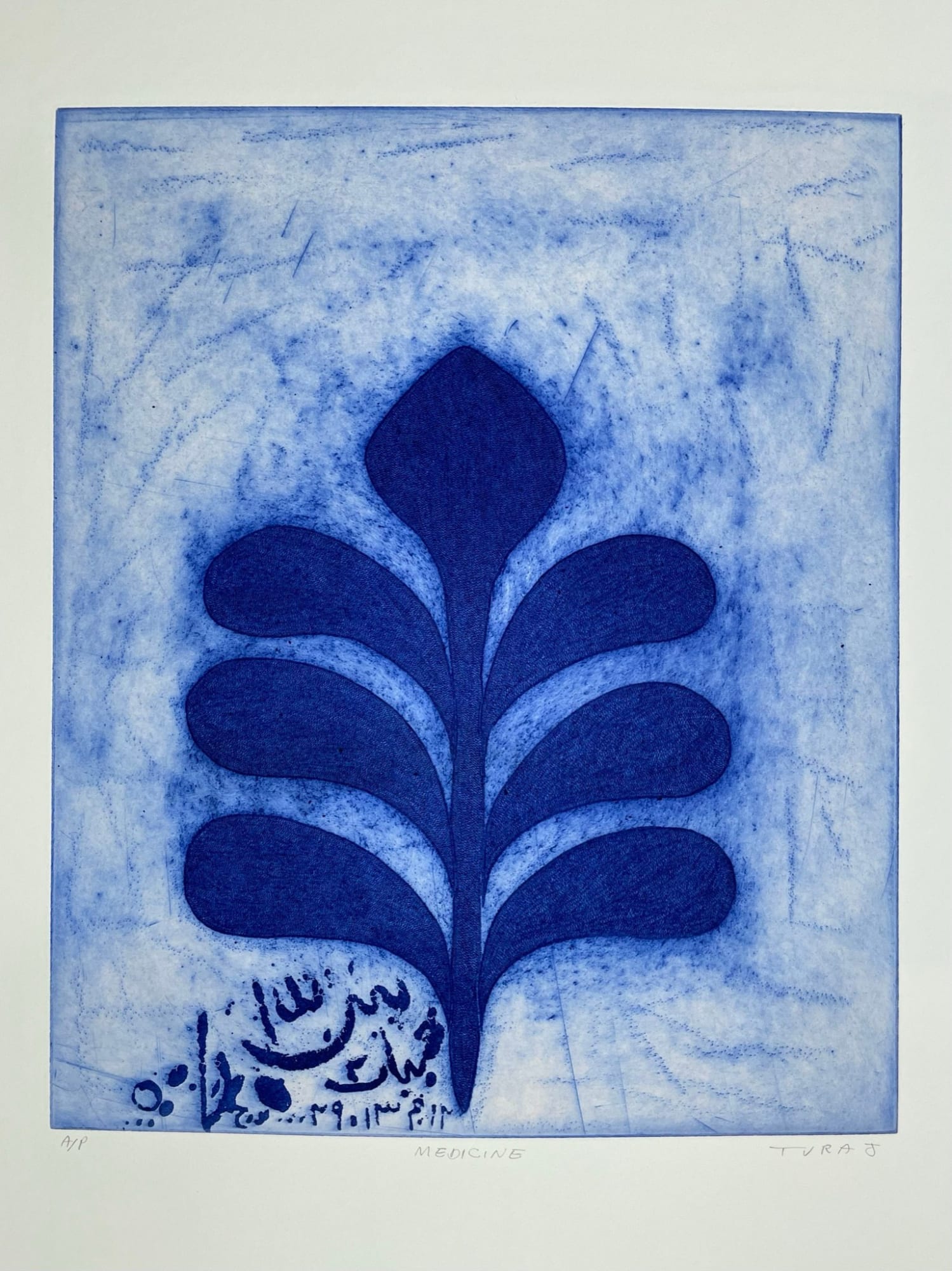 Turaj Ebrahimi, Medicine (with Persian text), 1980s to 1990s