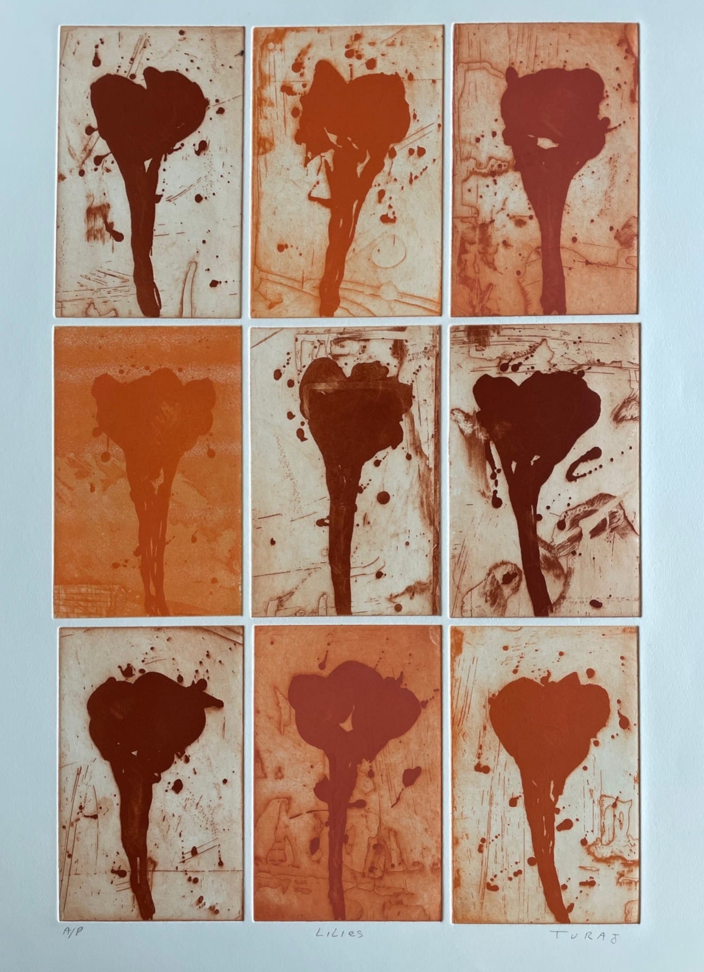 Turaj Ebrahimi, Lilies, 1980s to 1990s