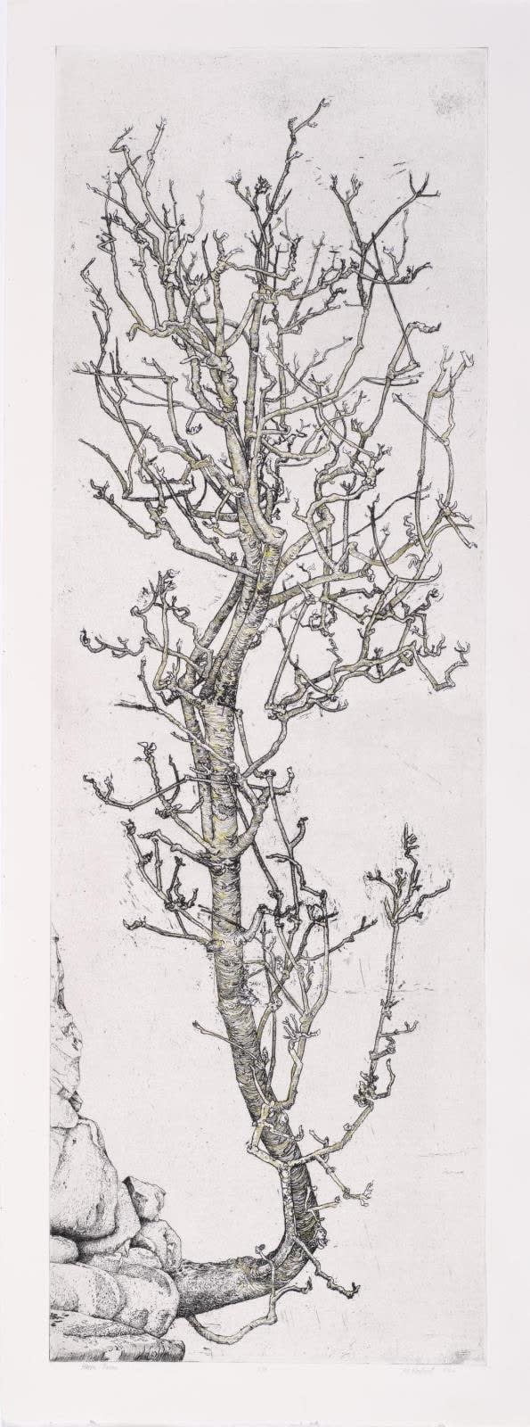 Ian Westacott, Reinigeadal Rowan, Isle of Harris, 2024