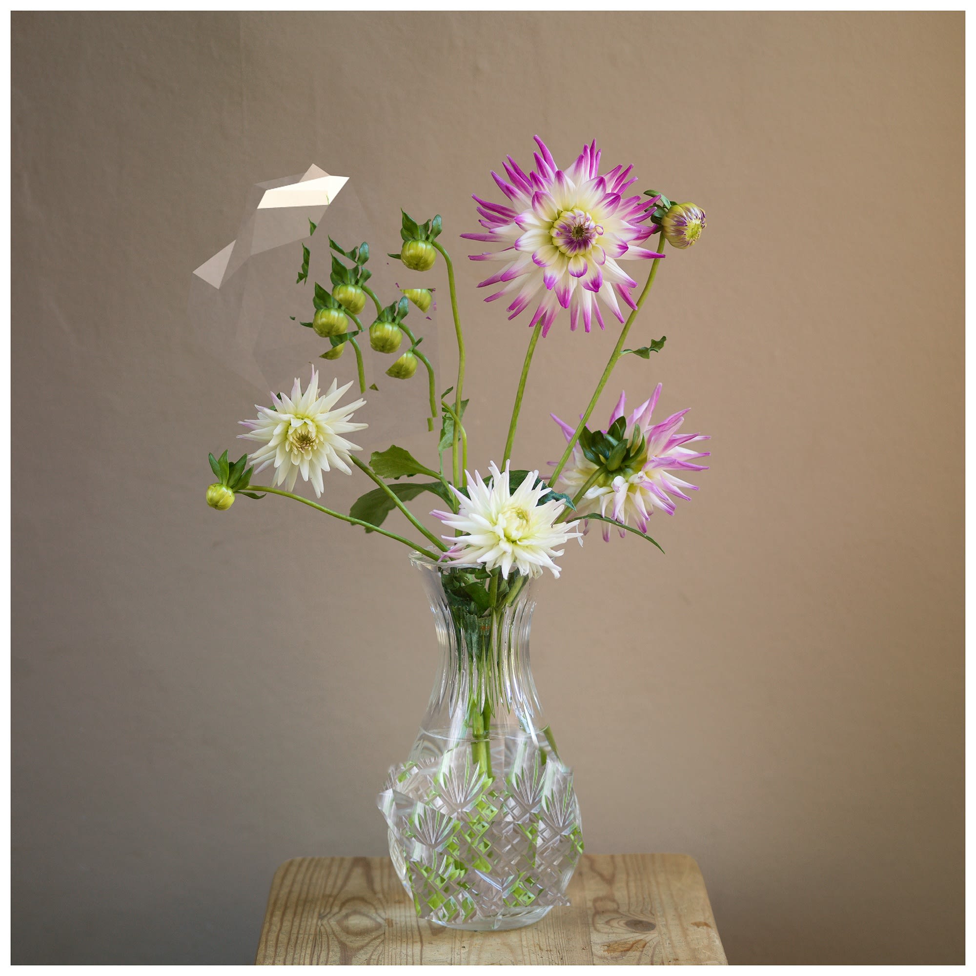 Wendy McMurdo RSA, Indeterminate Object (vi) Flora