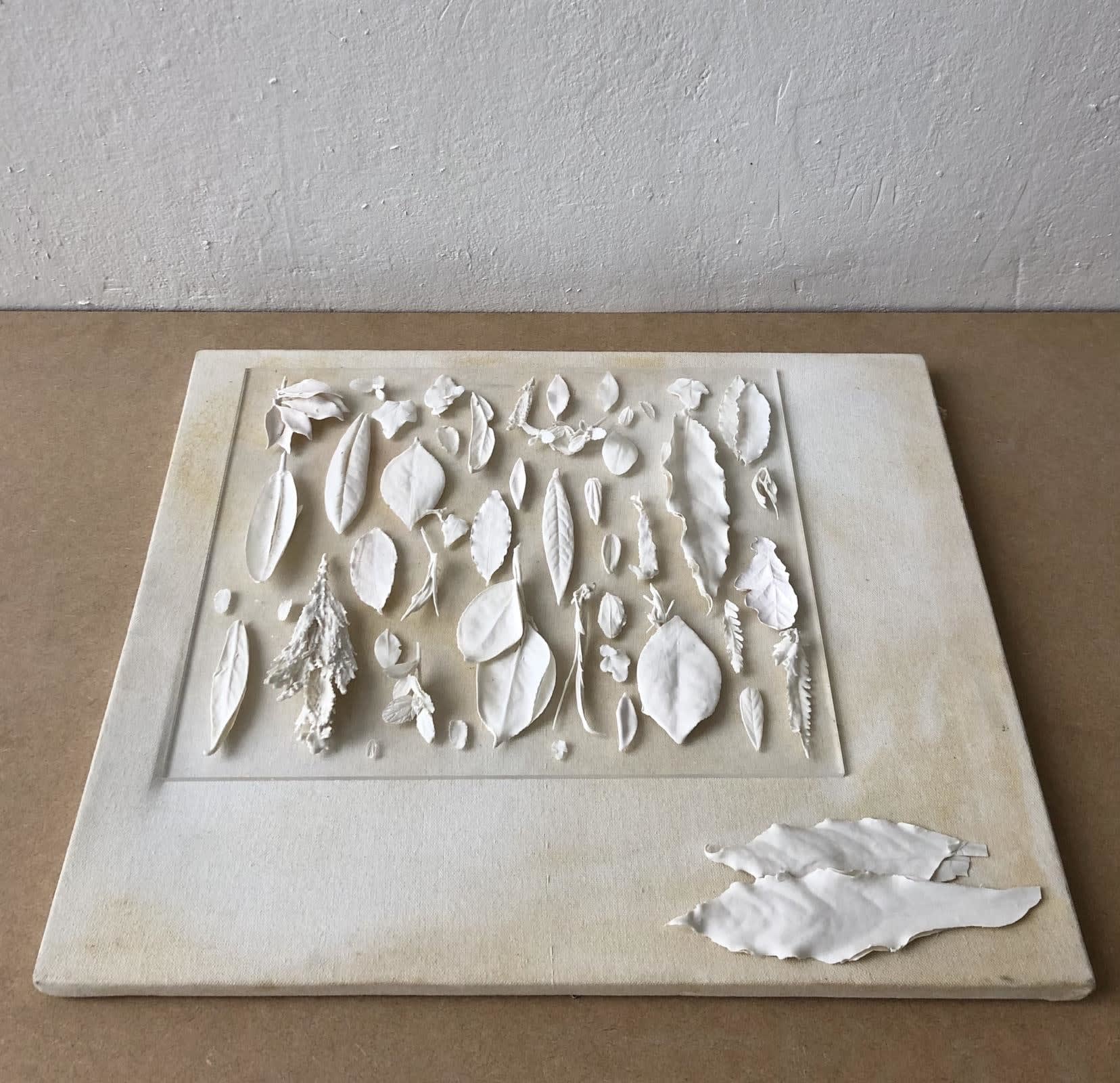 Fiona Goss, Botanical Captures