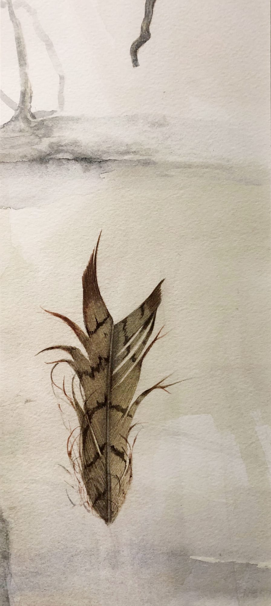 Eileen Lawrence RSA, Heathland