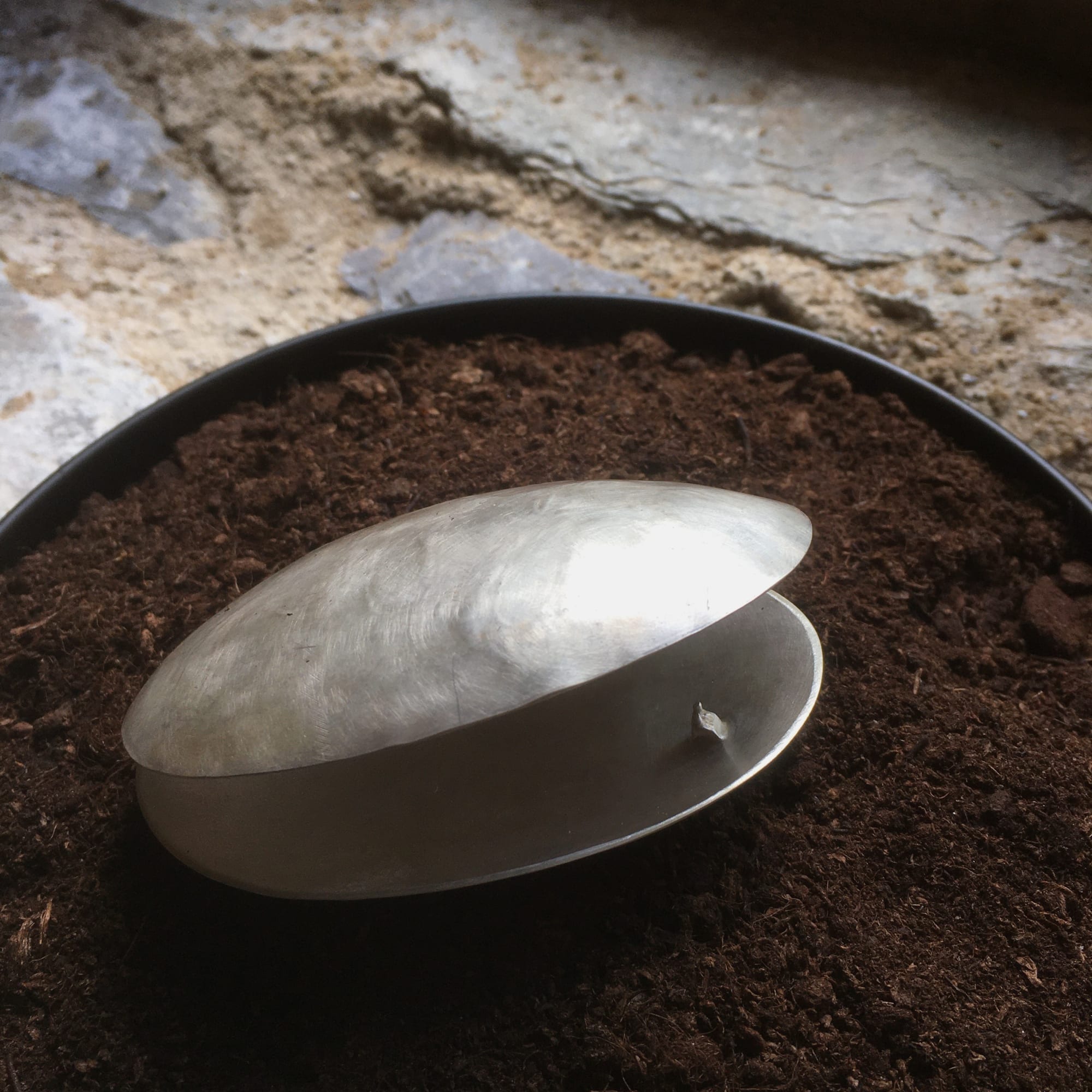 Mary Bourne RSA, Torniechelt Pocket Box