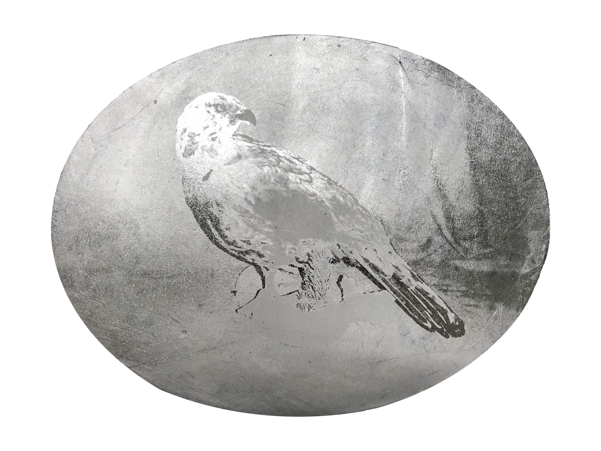 Jessica Harrison RSA, CAPERCAILLIE Cock Male Black Forest Game Bird Hunting Taxidermy, 2019