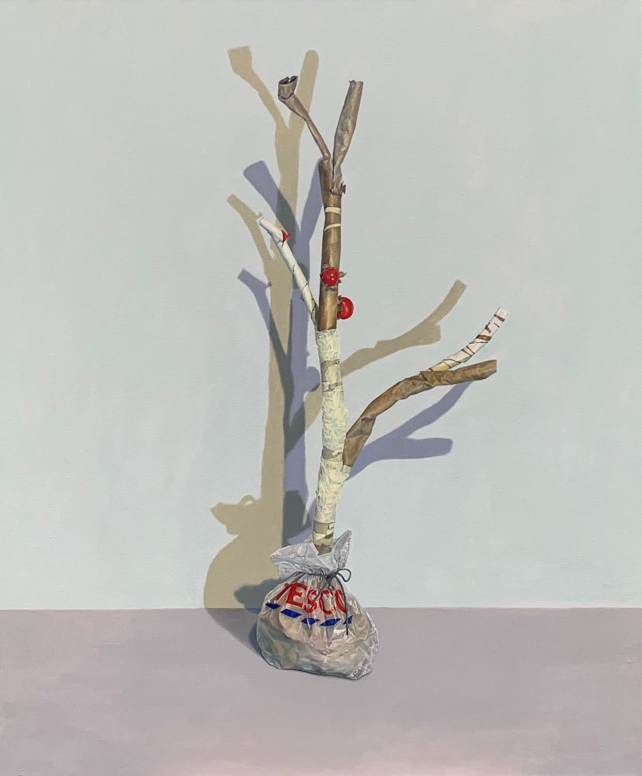 Melanie Guatelli, As the land was cleared a single specimen was collected for posterity