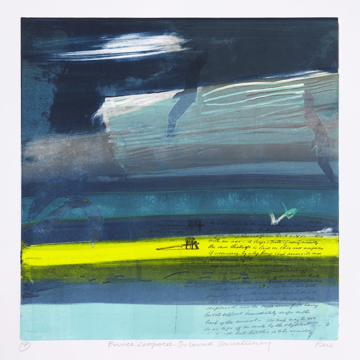 Barbara Rae RSA, Prince Leopold Island Sanctuary No. 7 , 2016