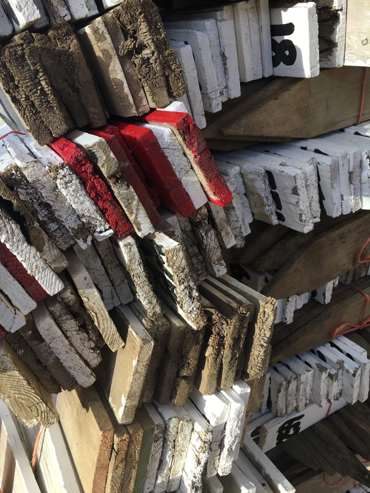 Miranda Webster RSA (Elect), Tattie Tallies 3 (II)