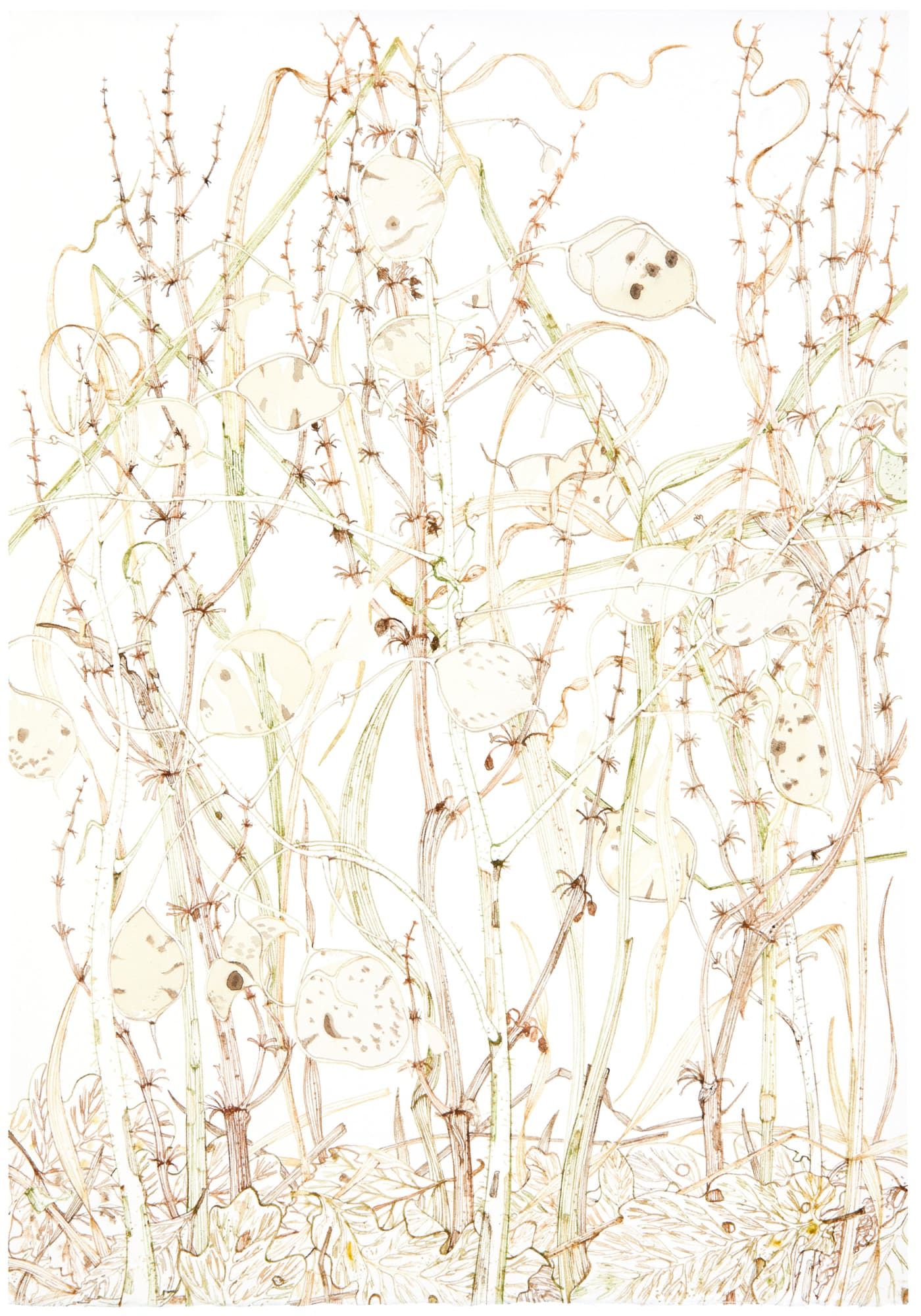 Jane Hyslop RSA (Elect), January Collection I, Midlothian, 2021