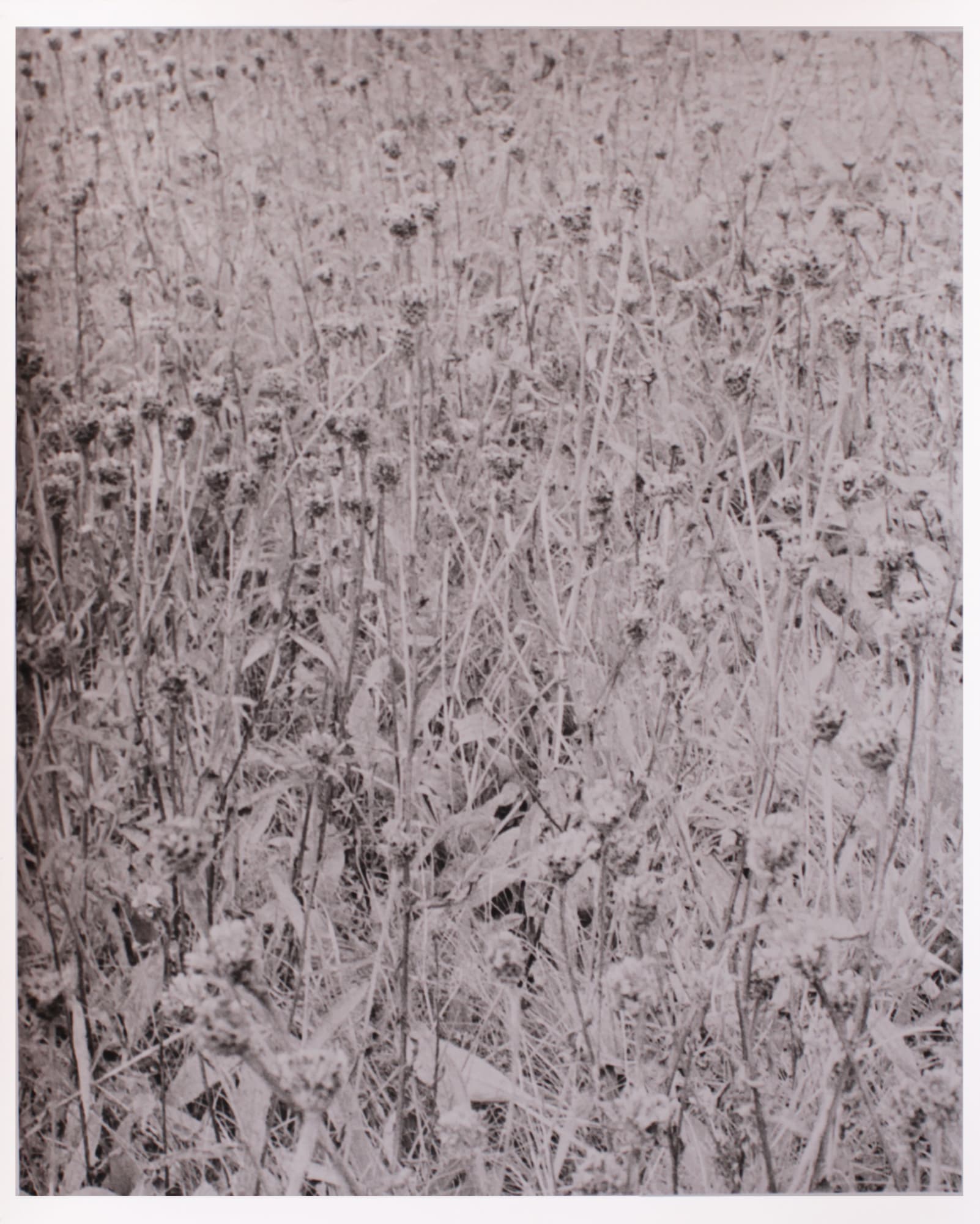 Jess Holdengarde, Precarious Landscape (1)