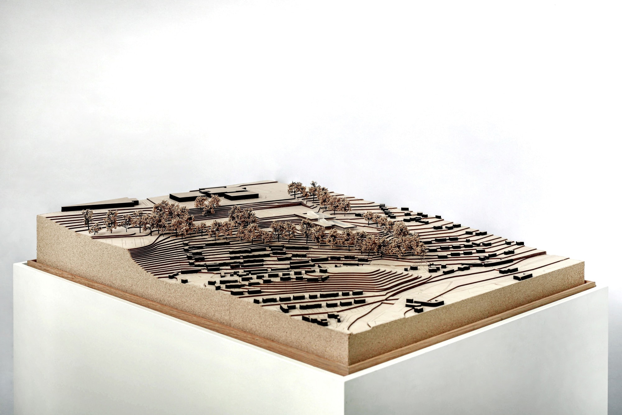 Paul Stallan RSA - Stallan-Brand Architecture + Design, Jedburgh Intergenerational Community Campus