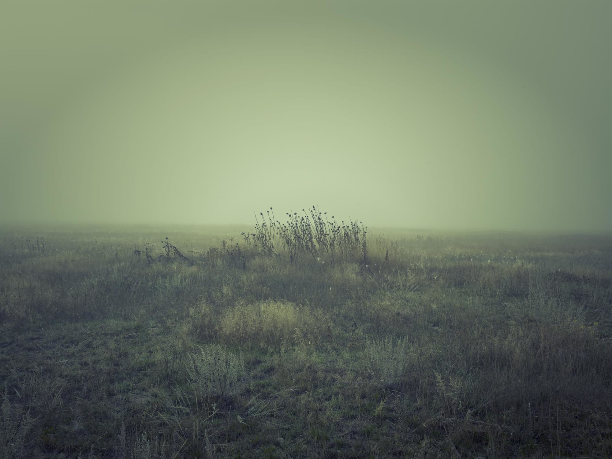 Jeff Corwin, Willow Creek, Montana 2022