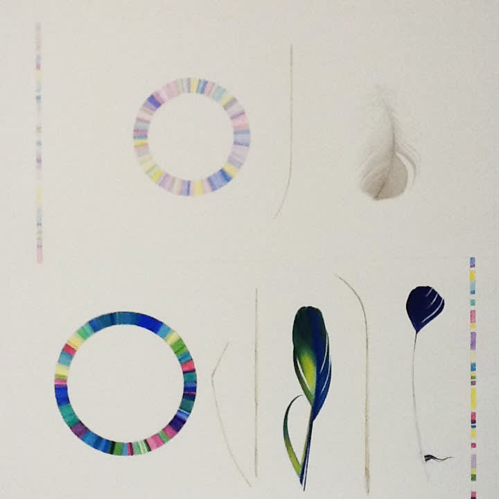 Eileen Lawrence RSA, Antipodean