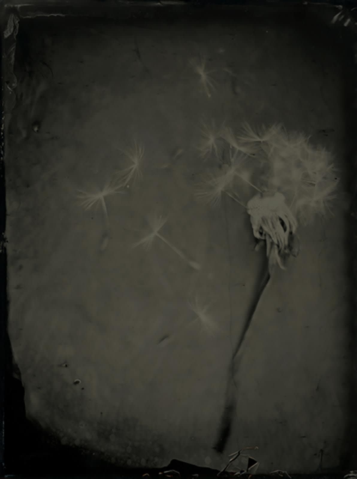 Nicolas Laborie, Wishes IV