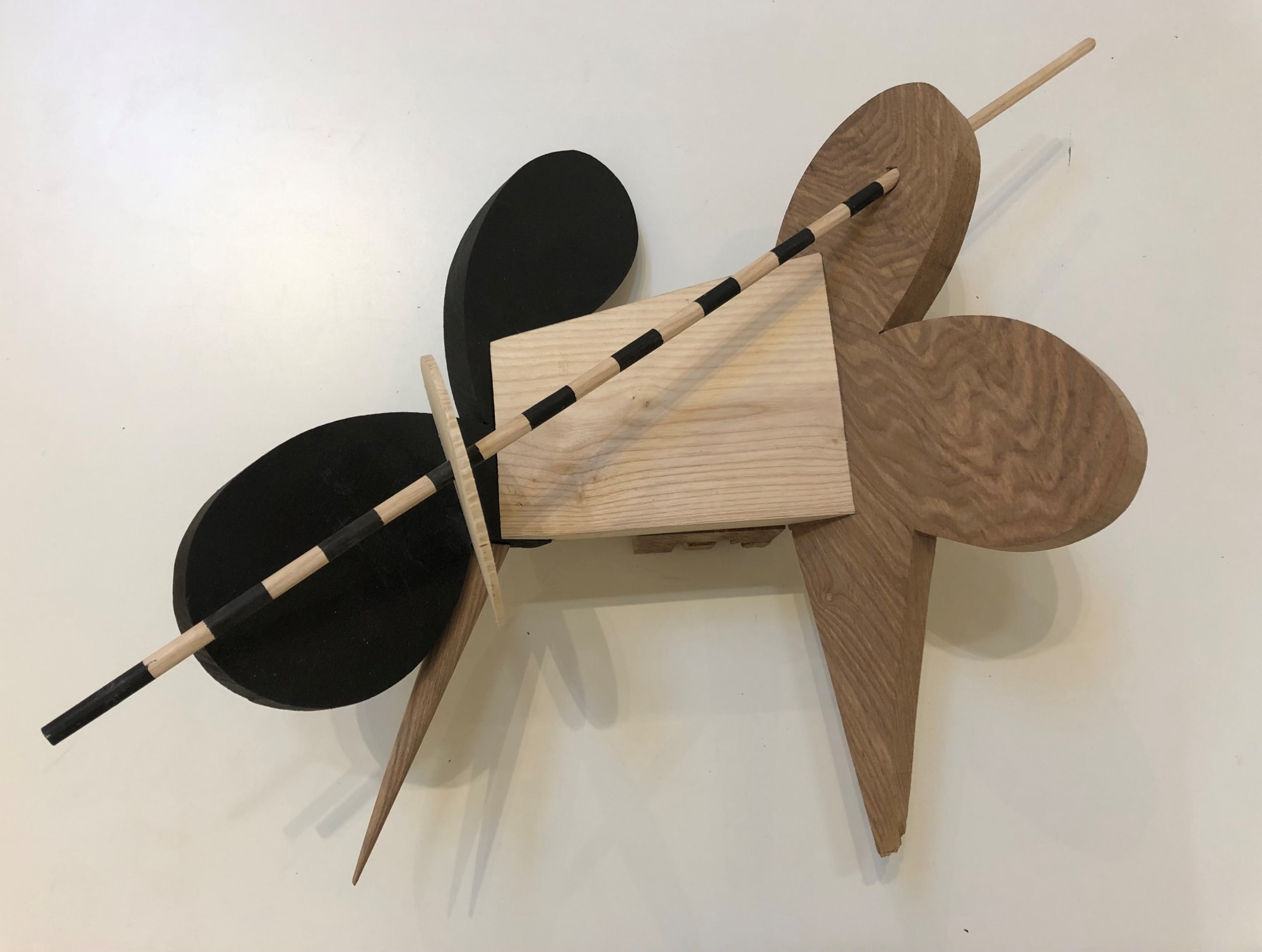 Doug Cocker RSA, MUSICA UNIVERSALIS 5