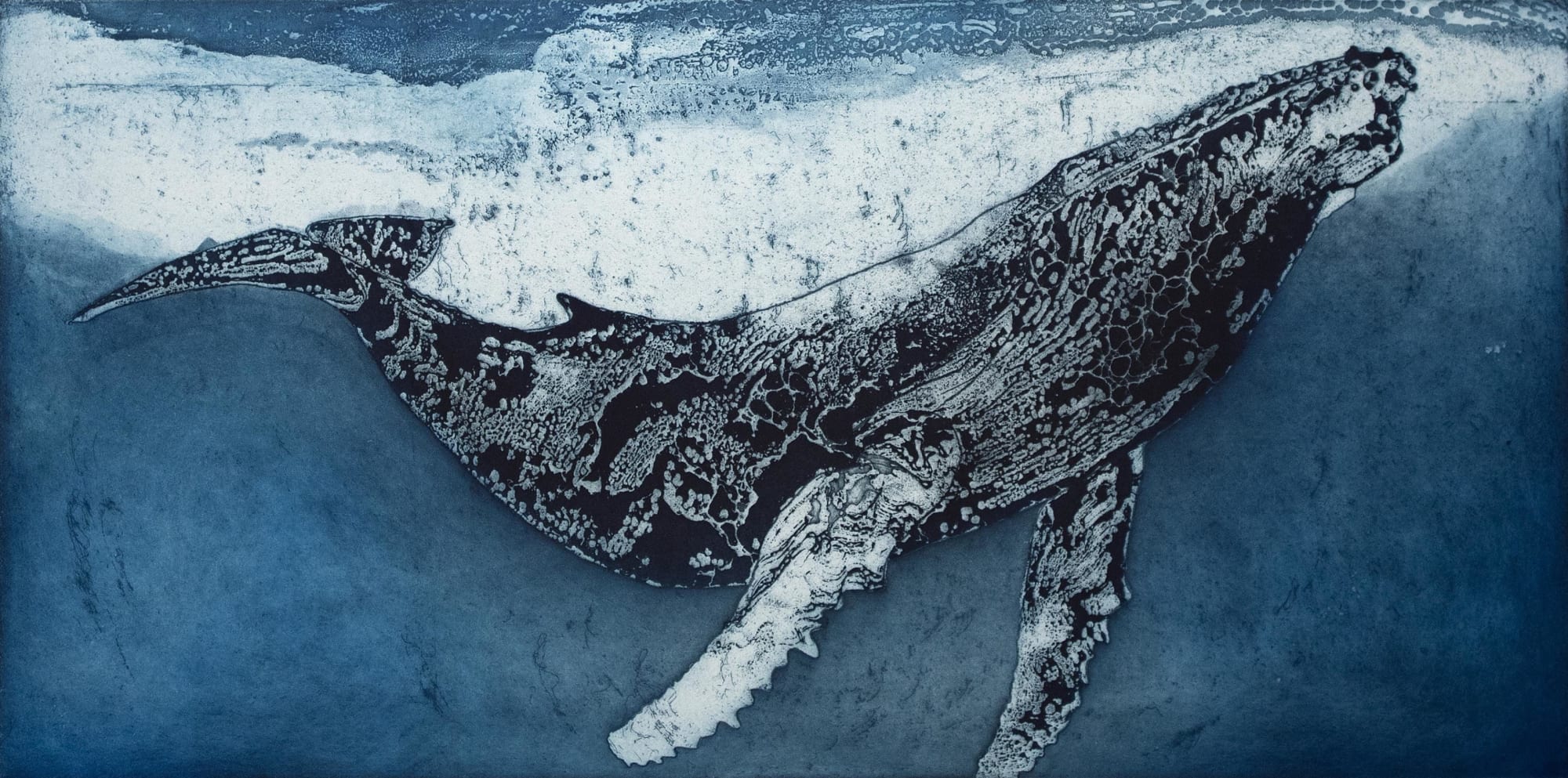 Marion MacPhee, Humpback Whale V
