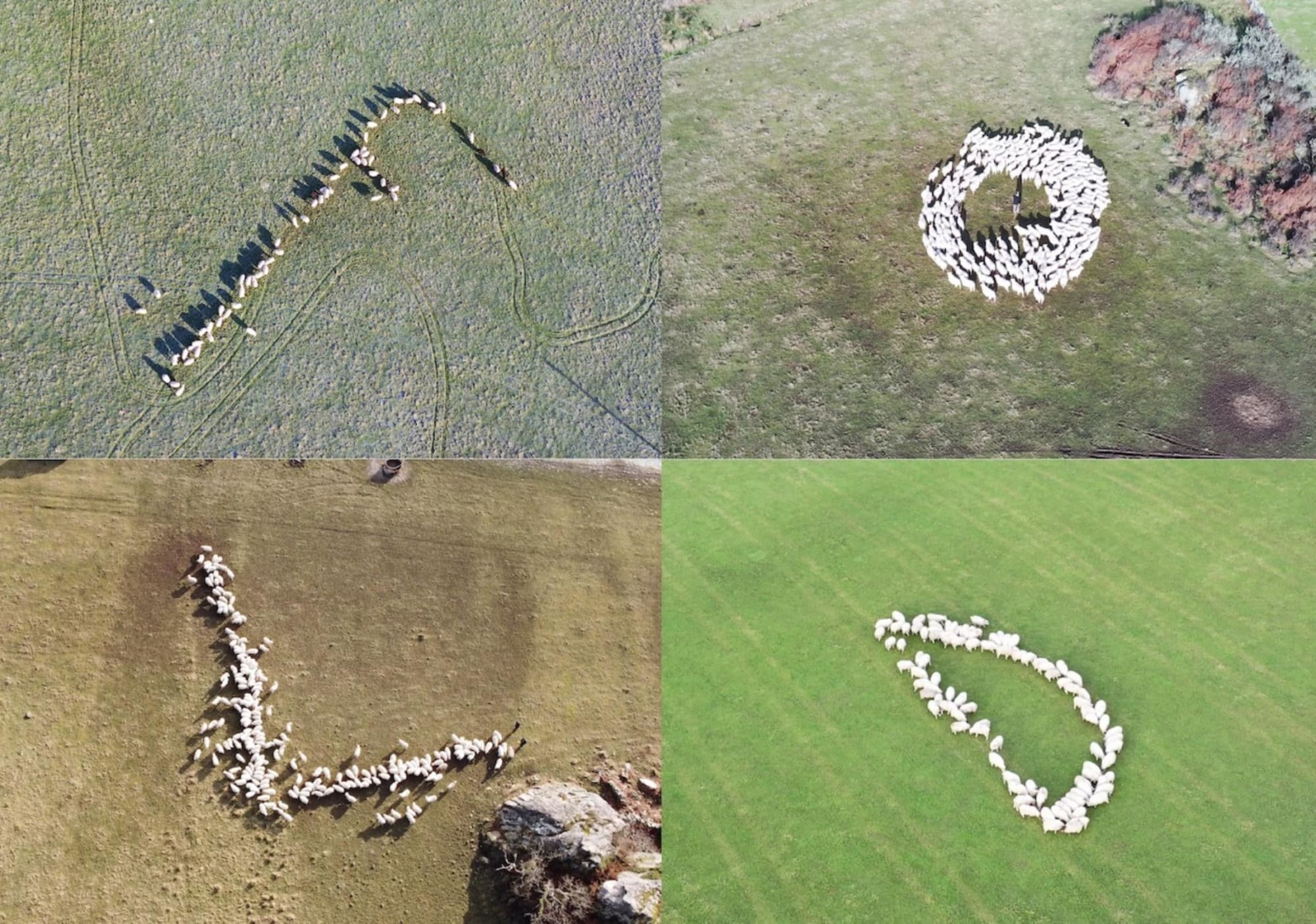 Maya Rose Edwards, FOLD