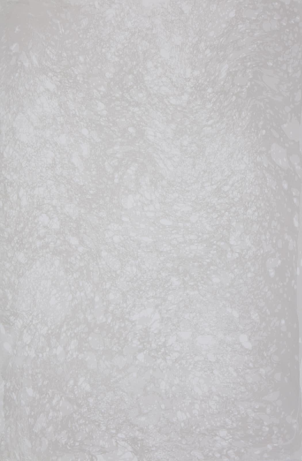 Alison Grant, Noumenon