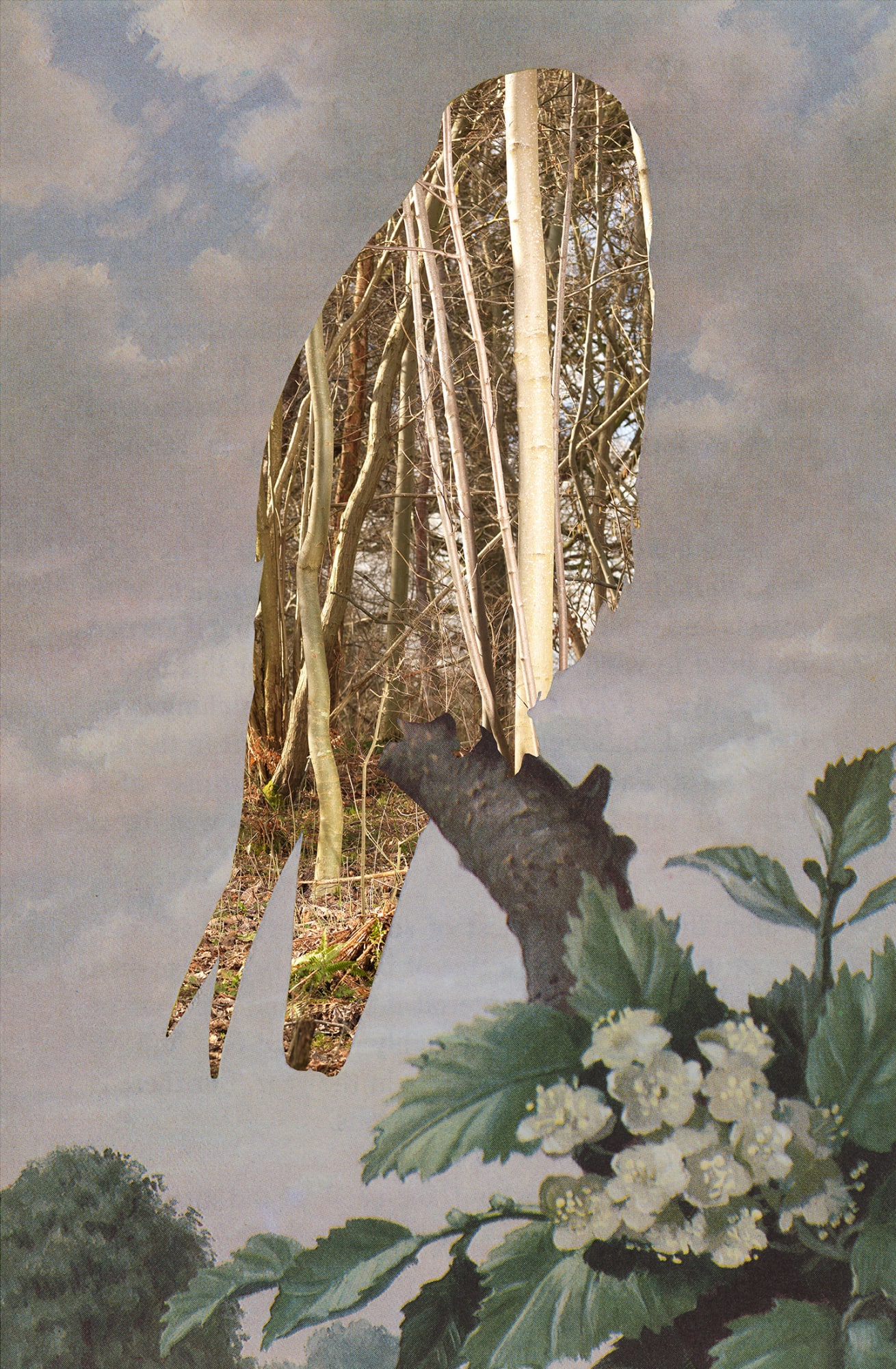 Wendy McMurdo RSA, Lost Birds (i)