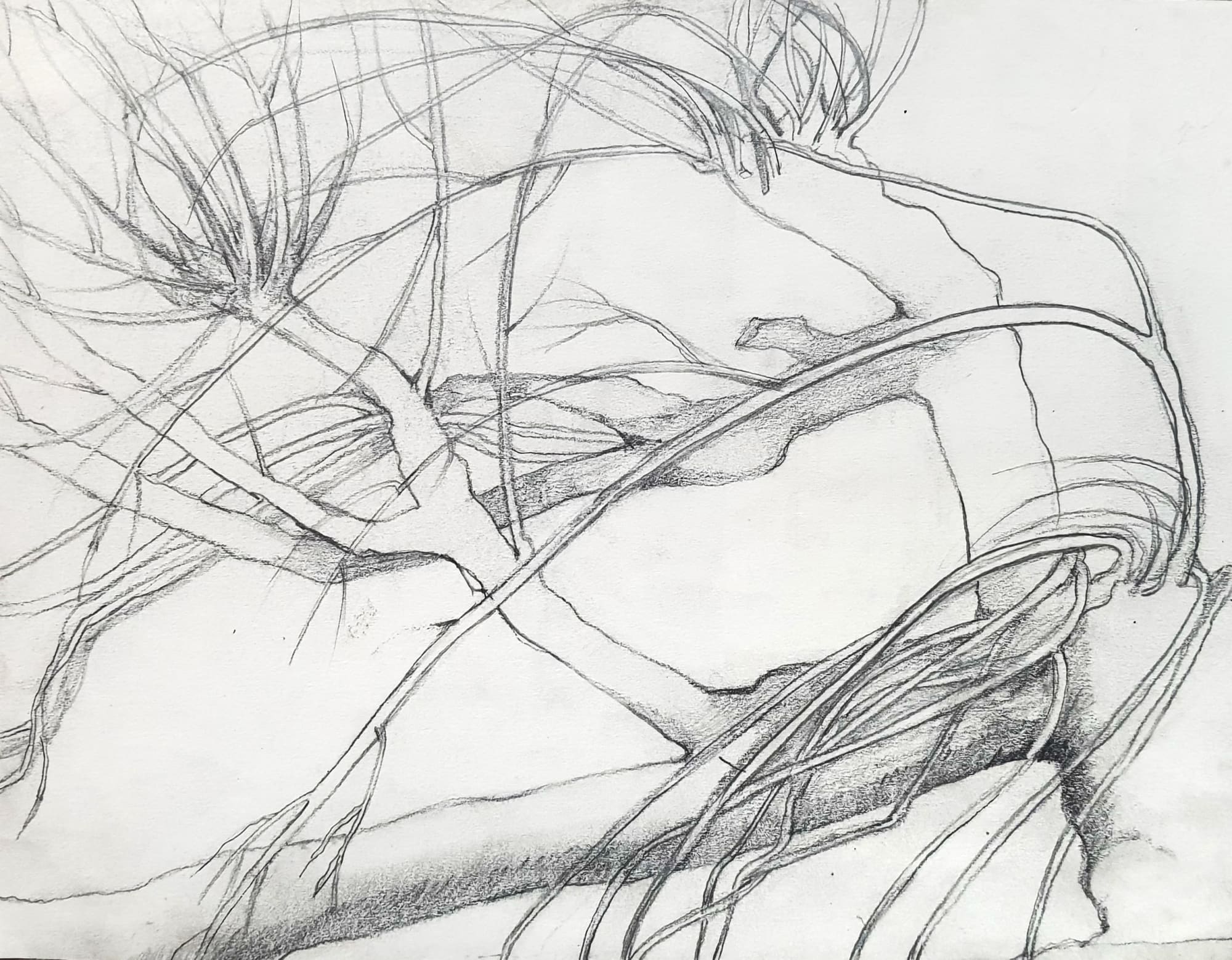 Sam Ainsley RSA, Tree study