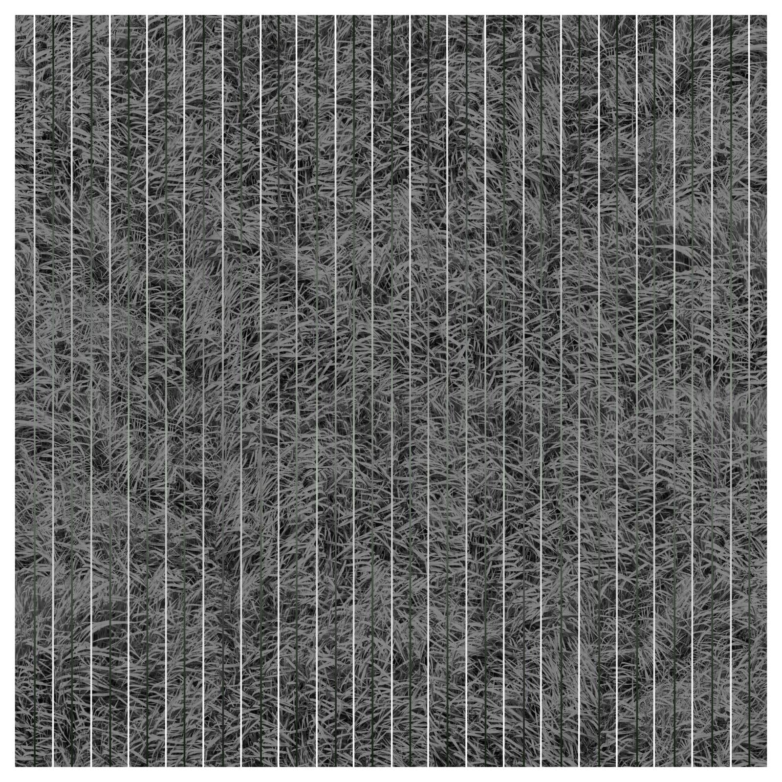 Bill Taylor, Parallel